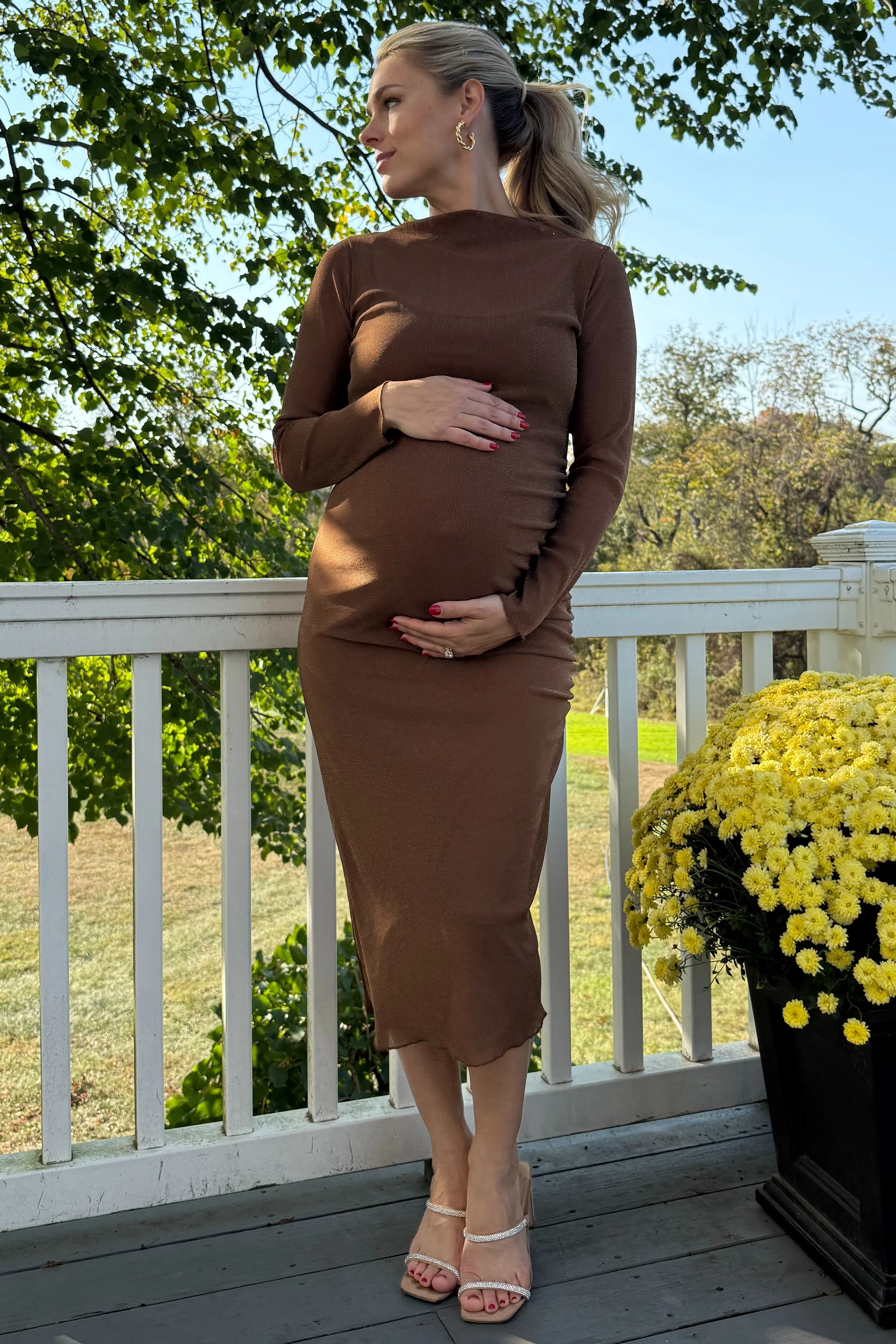 Brown Shimmer Mesh Long Sleeve Ruched Maternity Midi Dress - Image 3